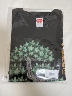 森東　さらば青春の光　MAPLE BONSAI M 新品