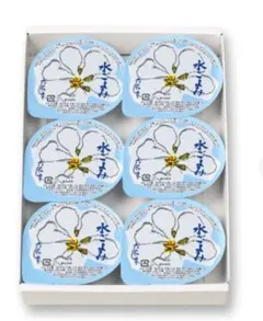 六花亭 水ごよみ 6個入 水ようかん　水羊羹　和菓子のサムネイル