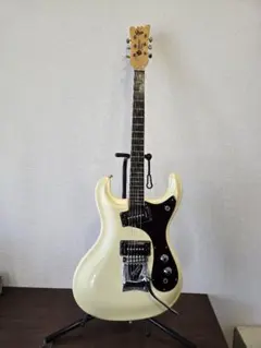 2025年最新】モズライト ハードケースの人気アイテム - メルカリ