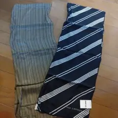 Item thumbnail for item c750cec6-7e20-49de-a3b4-f1257bd1545f