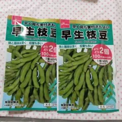 早生枝豆 　2袋セット　ダイソーのサムネイル