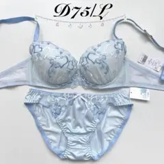 D75/L ブラジャー&ショーツ フェアリー 71441 SXのサムネイル