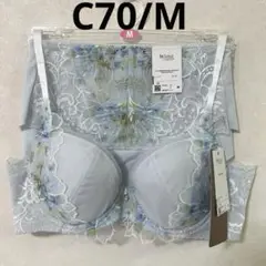 ウィングレシアージュ ブラジャー ショーツ セットアップ 楽天市場】【福袋】 ウイング レシアージュ ブラショーツ 2