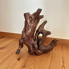 Item thumbnail for item d44a4125-bfcd-441c-a59d-160e9f60cee4