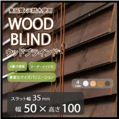 Item thumbnail for item 551ec70f-d5c2-43fc-8476-91d708a0ac6d