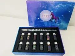 12色インクとガラスペンセット
