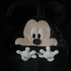 Item thumbnail for item 5d9820fd-6249-412a-b3c9-60713a306b15