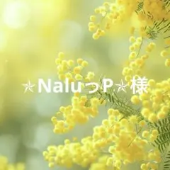 【おまとめ】✯NaluっP✯様