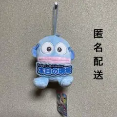 サンリオキャラクターズ　いっしょに推し活　ちょいデカマスコット　ハンギョドン