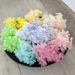 アナベルアジサイ あじさい プリザーブドフラワー 9色セット お得 ②
