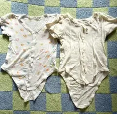 動物柄 ベビー肌着80サイズ 綿100%