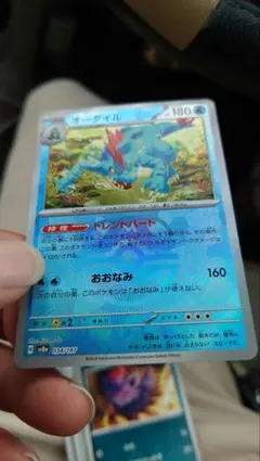 オーダイル マスターボール