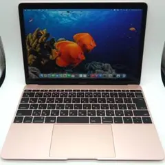 しのだY様 Apple MacBook 12インチ 2017 ローズゴールド - メルカリ