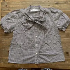 EMSEXCITE シャツ ブラウス ギンガムチェック半袖茶.白