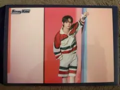 straykids ランダムトレーディングカード リノ