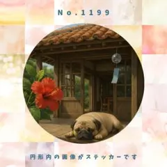 akinko102000様 リクエスト 10点 まとめ商品