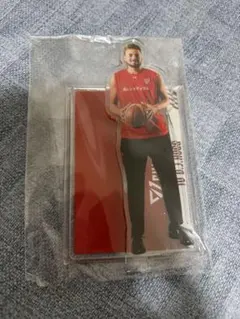 千葉ジェッツ　DJホグ　オンラインくじ　アクリルスタンド