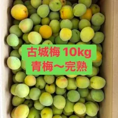 miu☆様専用 白加賀梅 10kg - メルカリ
