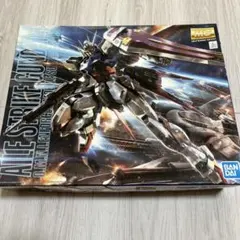 2026年最新】1/100 MG GAT-X105 エールストライクガンダム Ver.RM(リ