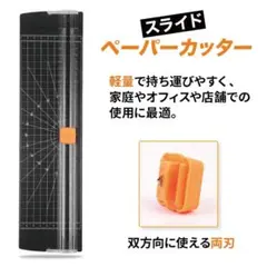 Item thumbnail for item 17e2004b-3d8d-4fb0-b0a6-2fb9bdf21d3e