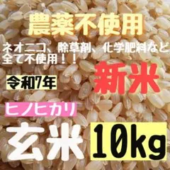 業務用 両捻り ミルク金 チョコレート 10kg - メルカリ