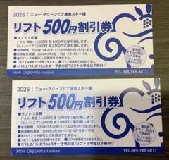 ニュー・グリーンピア津南スキー場 リフト500円割引券 2枚