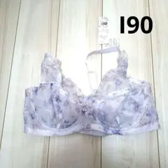 Item thumbnail for item 71c2b3dc-b36d-4cc5-9d7d-250d16236d92