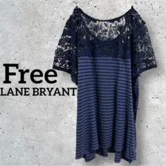 LANE BRYANT【F】ボーダー　レース　切り替え　ネイビー　カットソー