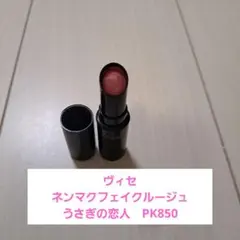 ヴィセ ネンマクフェイクルージュ PK850