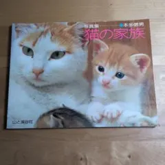写真集猫の家族 本多信男　山と溪谷社
