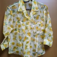 Item thumbnail for item 98ed7931-e85d-47de-bcc4-e5d38c534a45