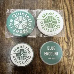 【最終値下げ！新品未使用】BLUE ENCOUNT缶バッジ&マステセットブルエン