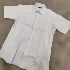 バーバリー　半袖シャツ　SHIRT サックスブルー　M　チェック