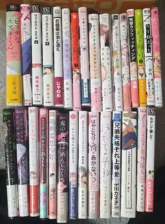 ボーイズラブ漫画セット BL漫画まとめ売り30冊セット