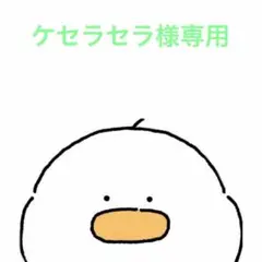 ケセラセラ様 リクエスト 2点 まとめ商品