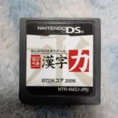 DSソフト カンペキ漢字力 みんなのDSゼミナール