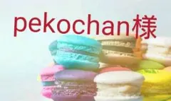 【済】。pekochan様専用❤オーダーページ❤
