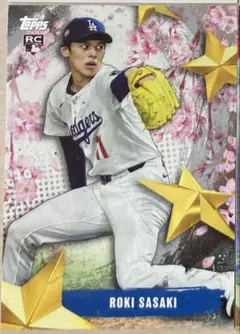 ぱーしー様 リクエスト 2点 まとめ商品