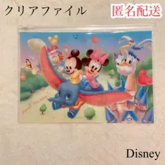 【新品未使用】東京ディズニーランド クリアファイル カラフル ファスナー付き