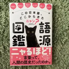 かーかん様 リクエスト 2点 まとめ商品