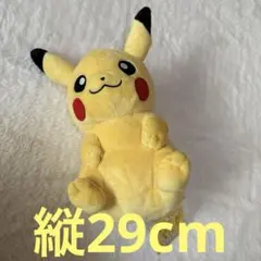 ぬいぐるみ ポーチ 小物いれ 小物 ポケットモンスター　ピカチュウ