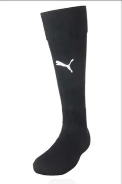 Item thumbnail for item f26a5746-17f3-422e-97d2-4ad814daa725