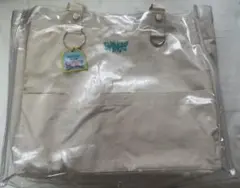 Item thumbnail for item 80c5a03b-f22f-4952-b13c-f129eb96cf8c