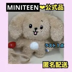 sana*様 MINITEEN ぬいぐるみ 大 ドギョム ドア