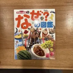 Item thumbnail for item aec10ed6-bc74-4361-adf9-8989d5a8655f