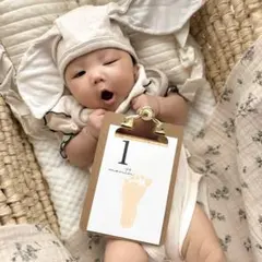 Item thumbnail for item 3678e922-d509-4e15-93a5-2acb381a8f5a