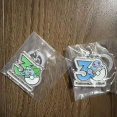 ポケモン 30周年 メタルチャームマスコット めじるしアクセサリー
