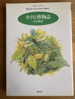 小さな博物誌 河合雅雄 ちくまプリマーブックス