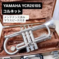 Item thumbnail for item 9b5a2a4d-669e-4f26-86ee-87359b534a21