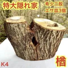 2026年最新】樹洞の人気アイテム - メルカリ
